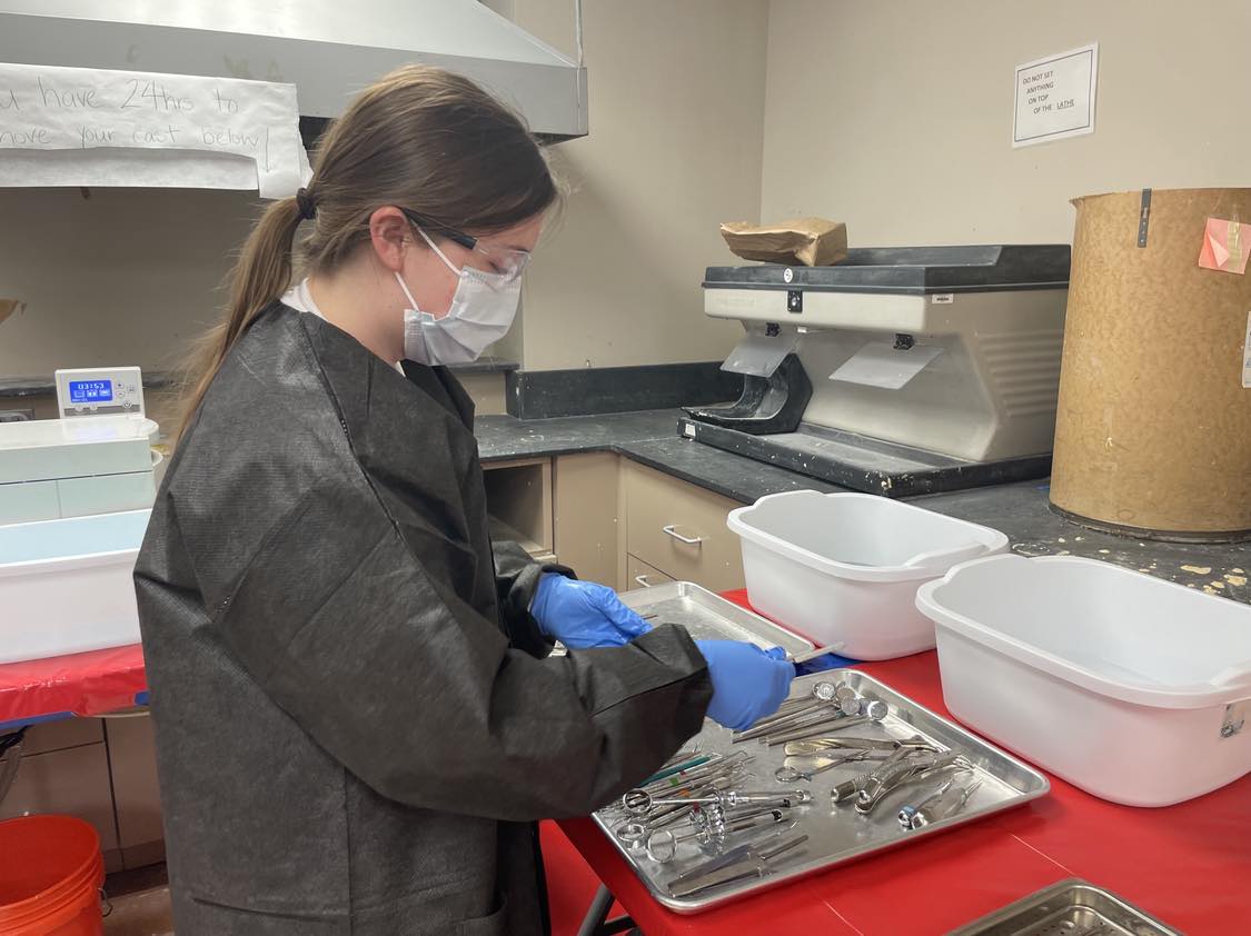 A person wearing a mask, gloves, and a lab coat organizes surgical instruments on a metal tray in a clinical or laboratory setting. White tubs and medical equipment are visible on the counters.