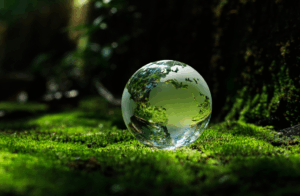 A glass globe rests on vibrant green moss in a forest, reflecting light and surrounding trees, symbolizing nature, conservation, and environmental awareness.