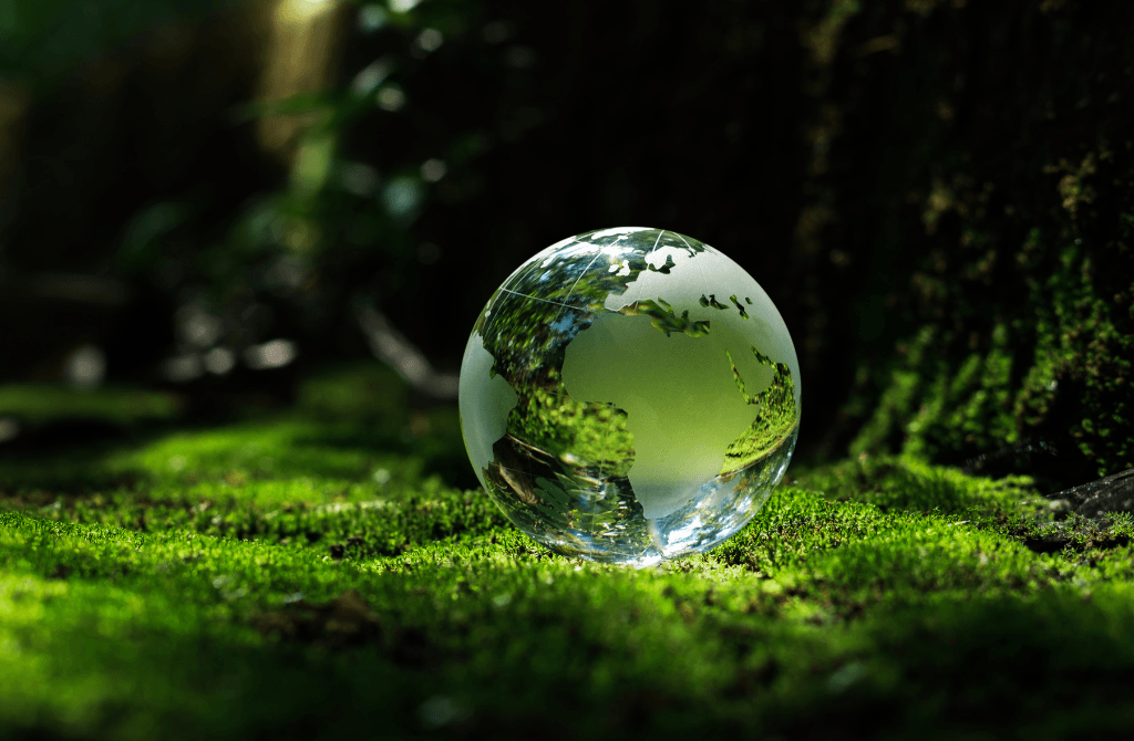 A glass globe rests on vibrant green moss in a forest, reflecting light and surrounding trees, symbolizing nature, conservation, and environmental awareness.