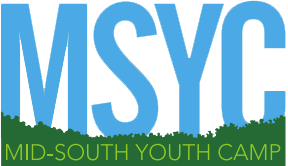 Blue letters MSYC with a green, grass-like edge below the letters. Underneath, MID-SOUTH YOUTH CAMP is written in smaller green text. The background is transparent.