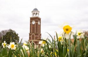 A brick clock tower with a gray roof stands behind blooming yellow and white daffodils under a cloudy sky.